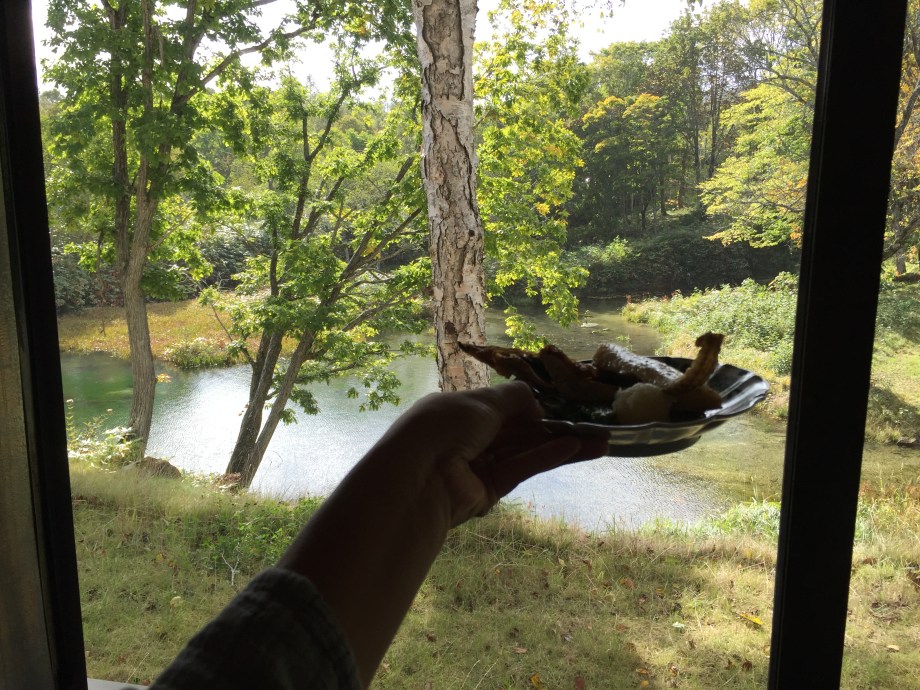 2016-10-04 09.22.26-1