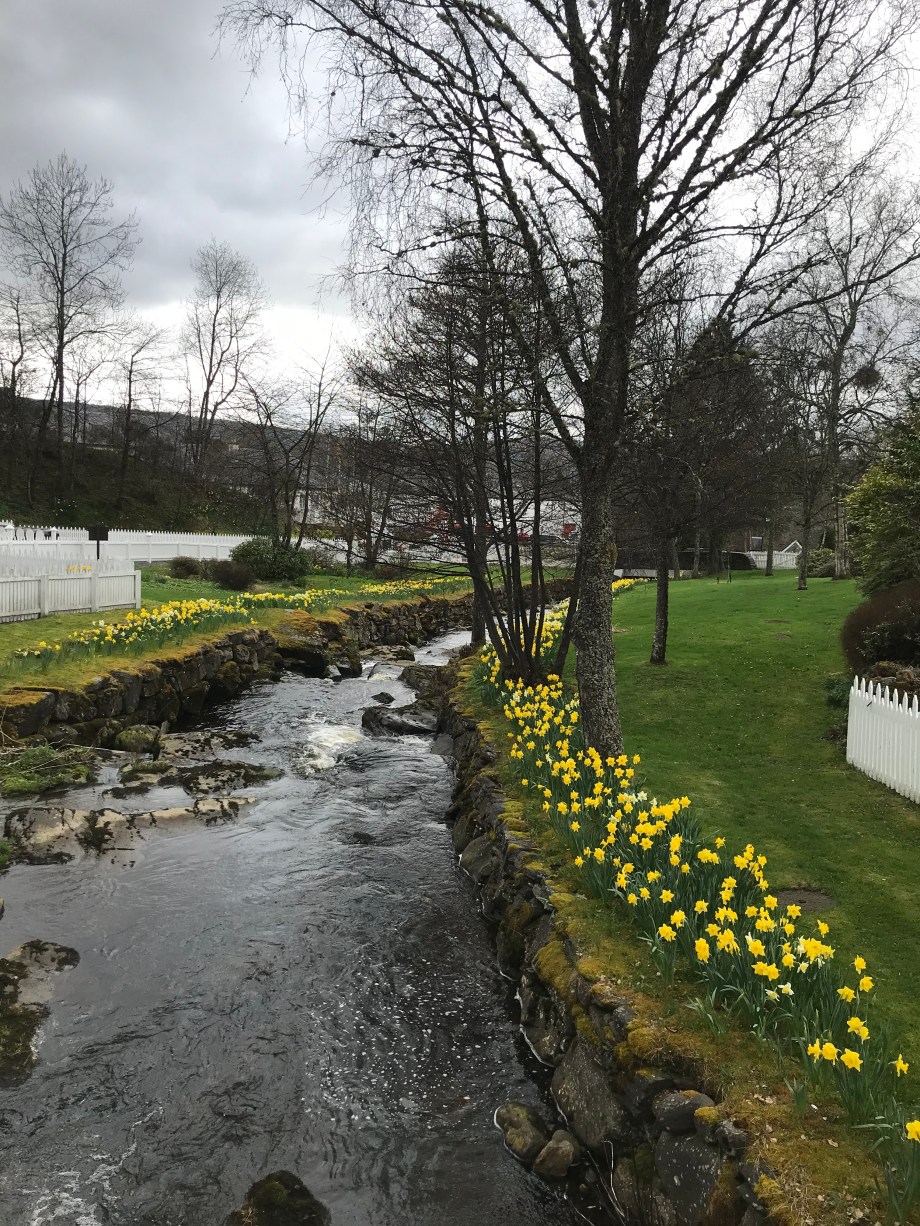 2018-04-19 13.24.54-1