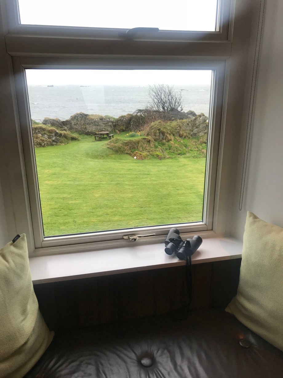 2018-04-23 18.45.59-1