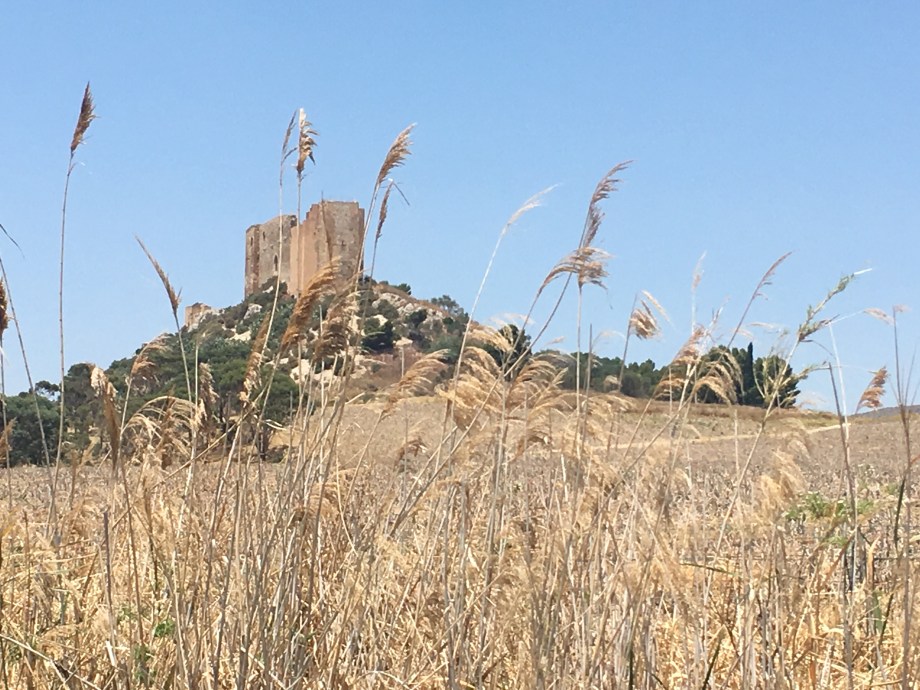 Photo Jun 16, 12 45 01 PM