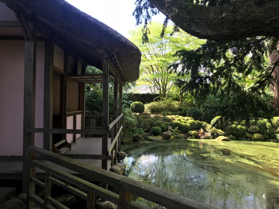 2018-05-01 10.44.35 HDR