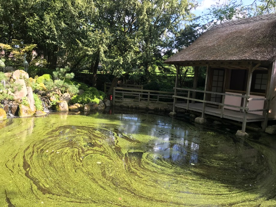 2018-05-01 10.46.13 HDR