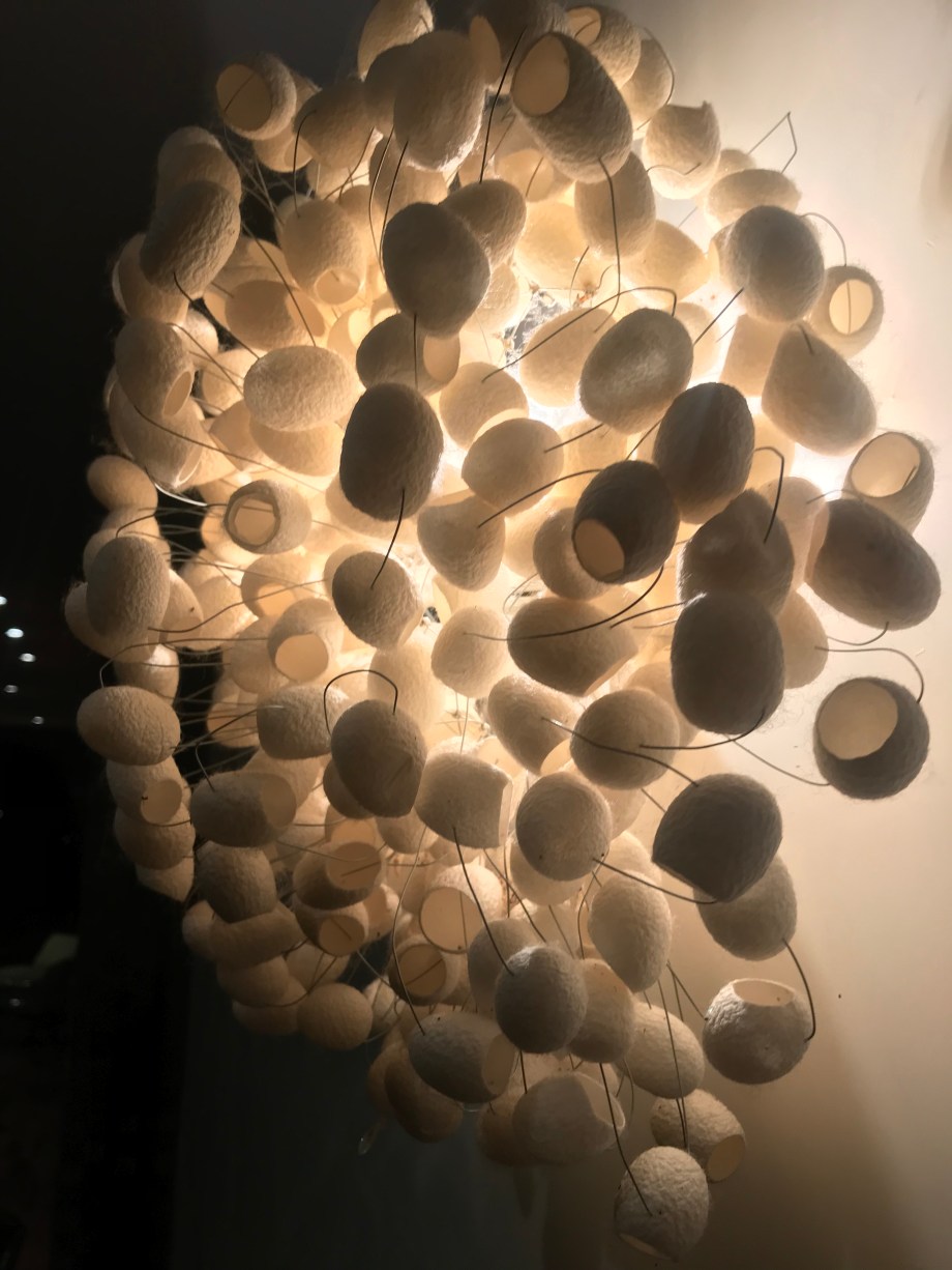 2018-06-26 23.50.46 HDR