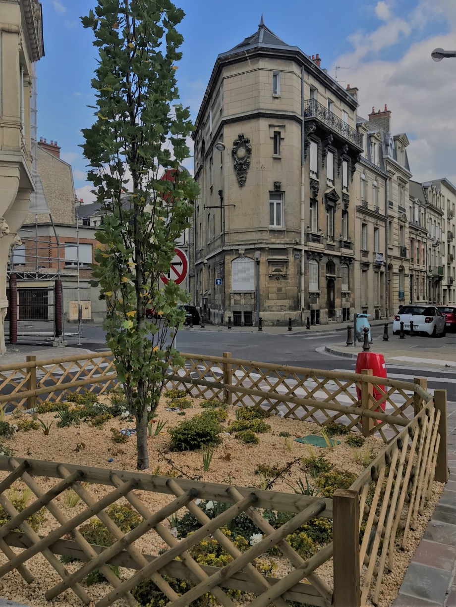 2018-06-29 17.04.43 HDR